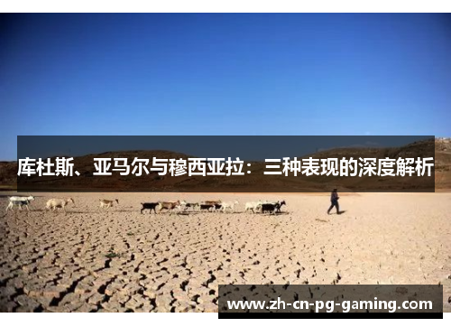 库杜斯、亚马尔与穆西亚拉：三种表现的深度解析