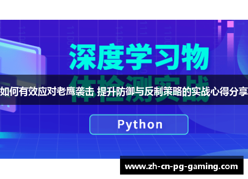 如何有效应对老鹰袭击 提升防御与反制策略的实战心得分享